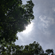 Image for article titled 8 Tricks to Take Better Photos With Your Phone